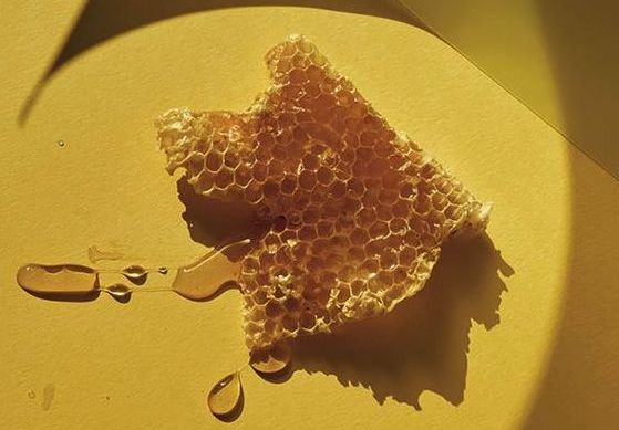 Royal Jelly: The Supreme Superfood
