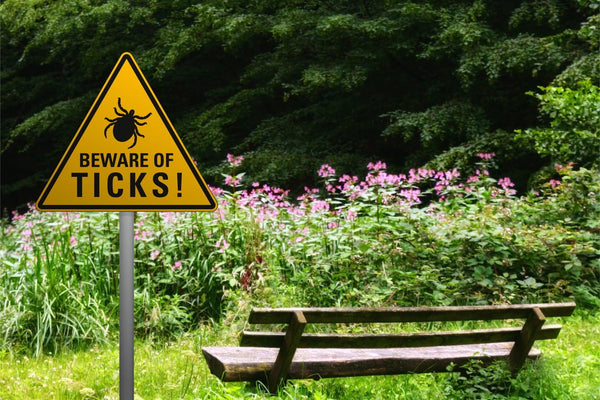 Ticked Off! Lyme Disease in Australia