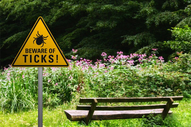 Ticked Off! Lyme Disease in Australia