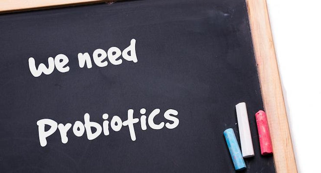 17 Reasons to Take Probiotics…