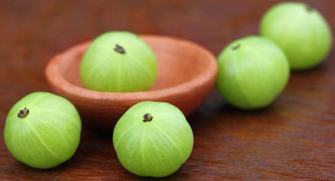 What does Indian Gooseberry have to do with blood sugar?