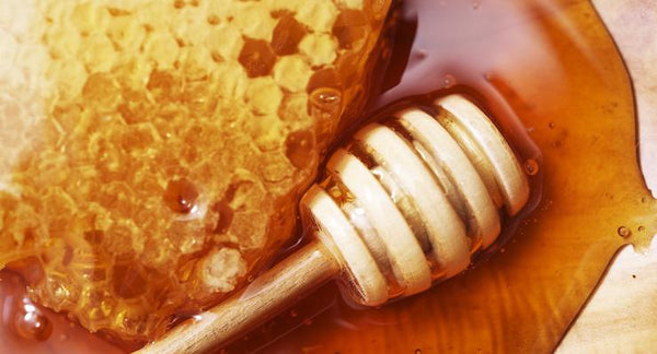 Raw Honey: Powerful & Surprising Benefits of Complete Honeycomb
