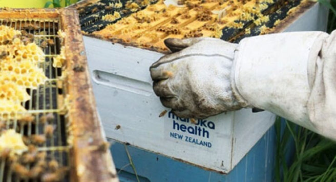 3 Ways to get the best Manuka Honey | Mr Vitamins