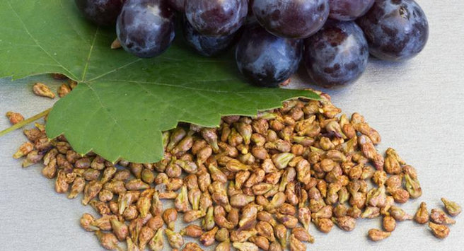 How Grape Seed Extract may help you stay Youthful