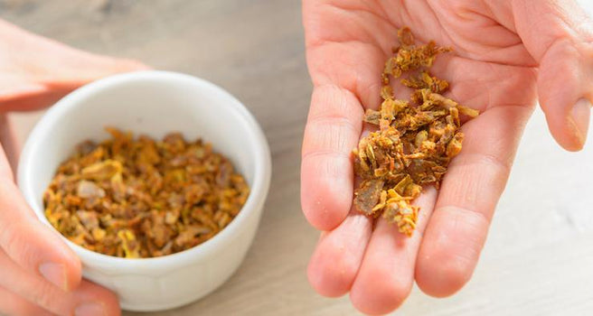 Propolis: Bees are the key to infection prevention