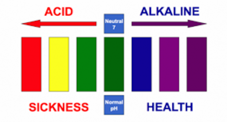 The Litmus Test – Is your Body Acid or Alkaline?