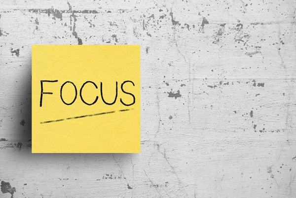 Feed your brain: Essential nutrients for memory and focus
