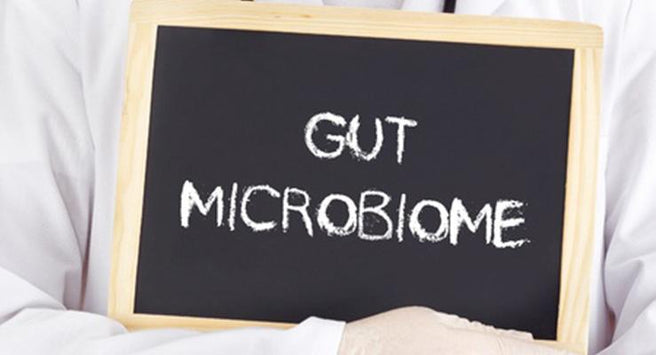 Your Microbiome what on earth is that?