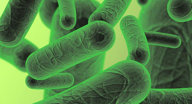 Good Bugs and Bad Bugs... What is SIBO?