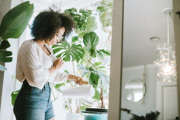 5 Steps to Chemical-Free Living
