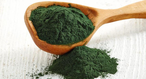 4 Reasons to take Spirulina – Nature’s Protein | Mr Vitamins