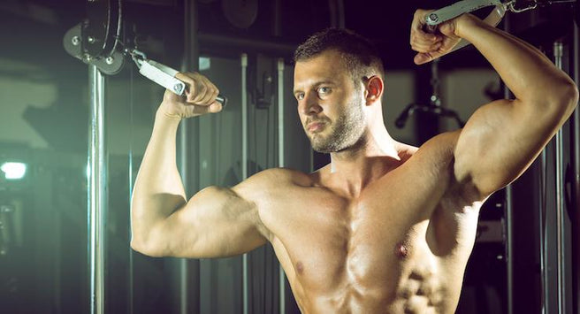 Sports Nutrition: How to gain muscle mass through training
