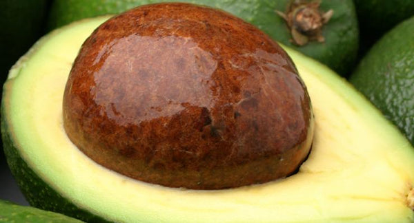 Avocados, the healthy fat fruit