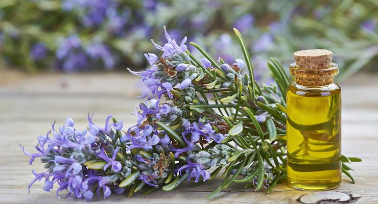 Medicine in your garden series: Rosemary, for remembrance and so much more