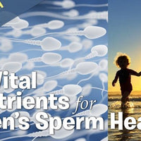 5 Vital Nutrients to improve Sperm Health and Fertility