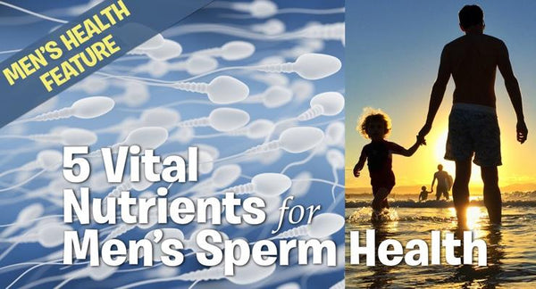 5 Vital Nutrients to improve Sperm Health and Fertility | Mr Vitamins
