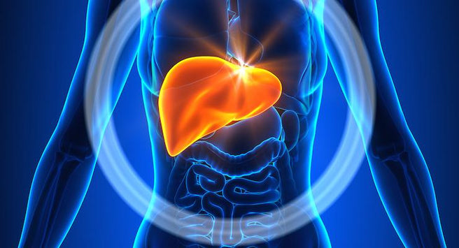 Six simple ways to look after your liver