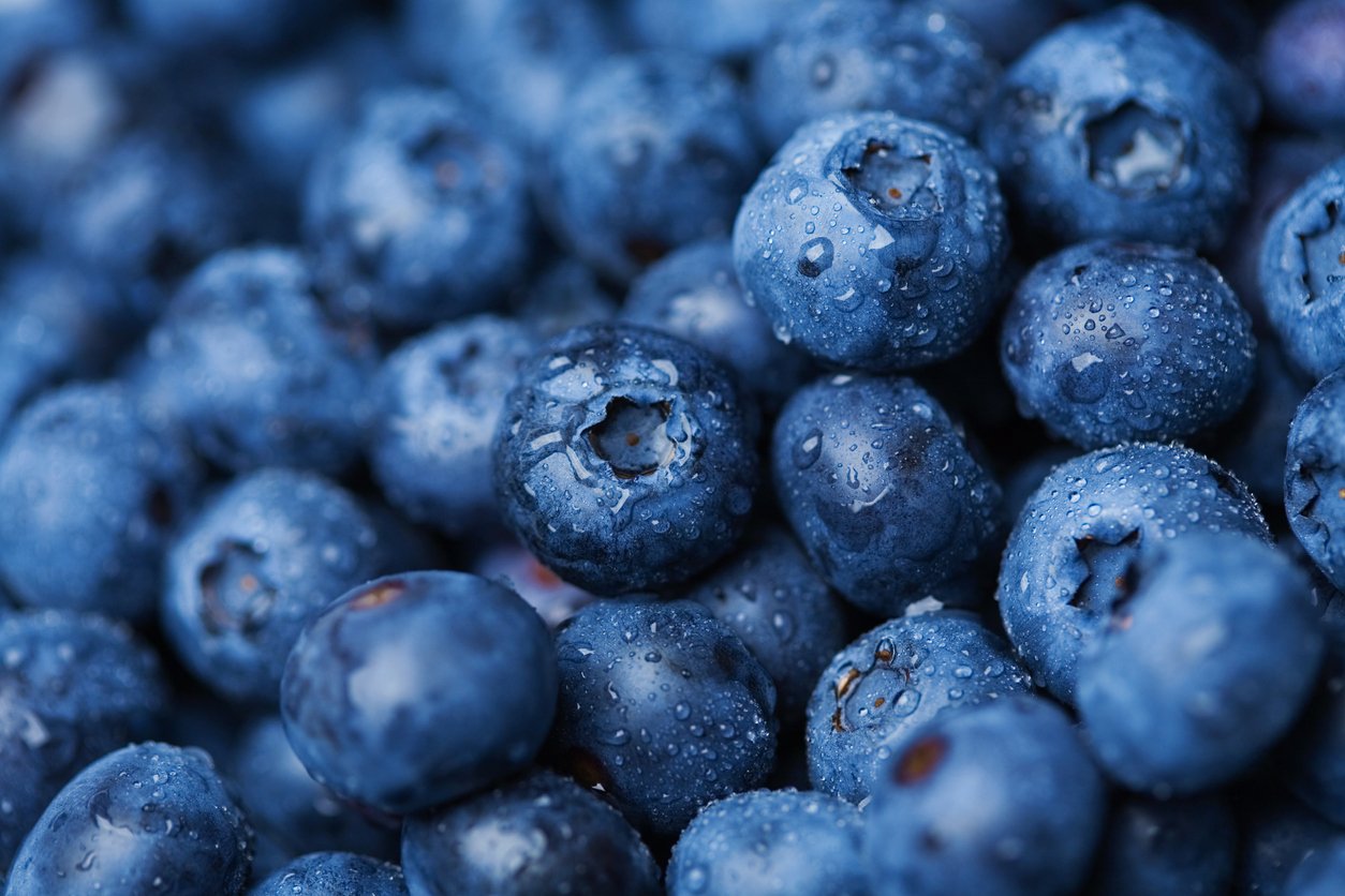 Blueberries Galore! Spruce up with fresh Spring produce