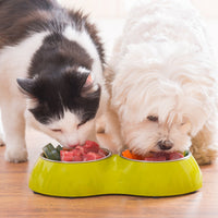 Animal Nutrition: what to feed your cats and dogs
