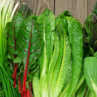 6 Health Benefits of Liquid Chlorophyll