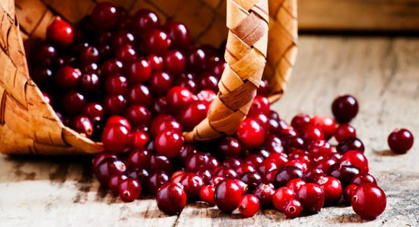 6 MUST DO’S if you have a UTI! | Mr Vitamins