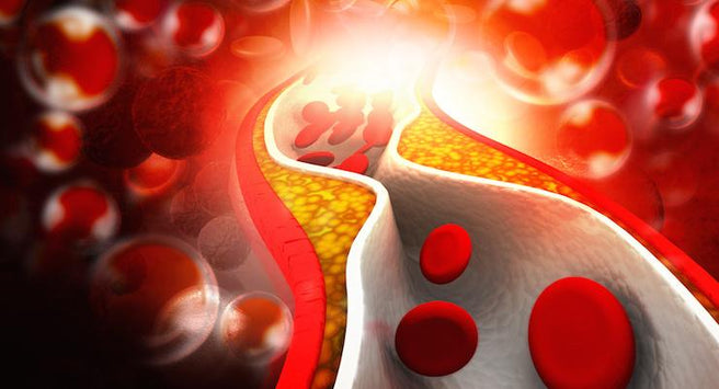 Latest Research Reveals New Treatments for Heart Disease