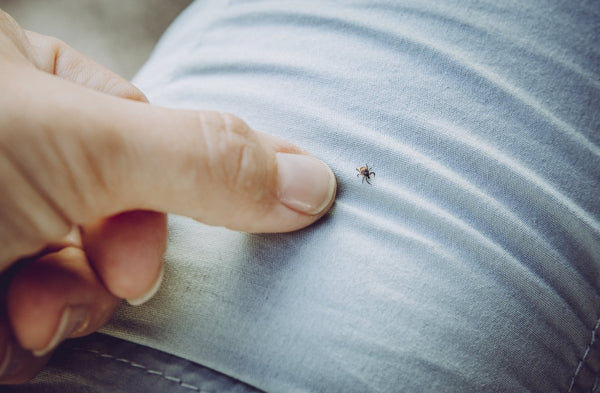 Lyme Disease - a growing problem