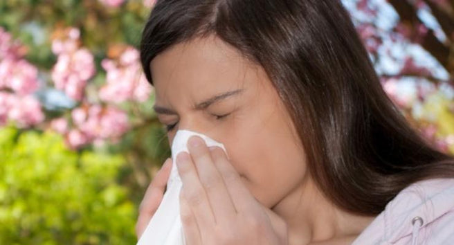 How to find relief from Seasonal Hayfever and Sinusitis