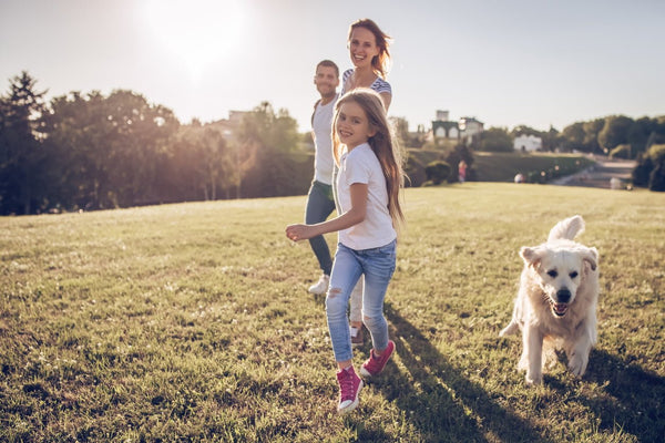 Activity not Exercise: A Principle for Weight Loss and Better Health