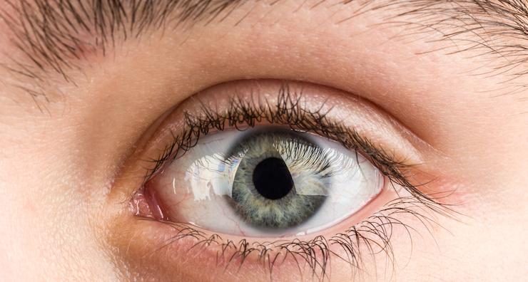 Digestion in your eyes: What can Iridology tell you?