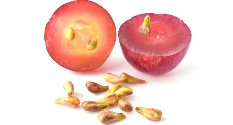 Grape Seed, food for your skin from inside out