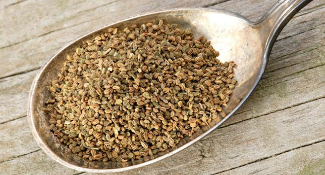 5 Reasons why you should add Celery Seed to your diet