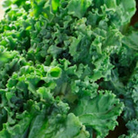 7 Reasons to Love Kale