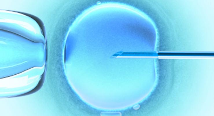 IVF Preparation Tips - What you need for Successful Conception