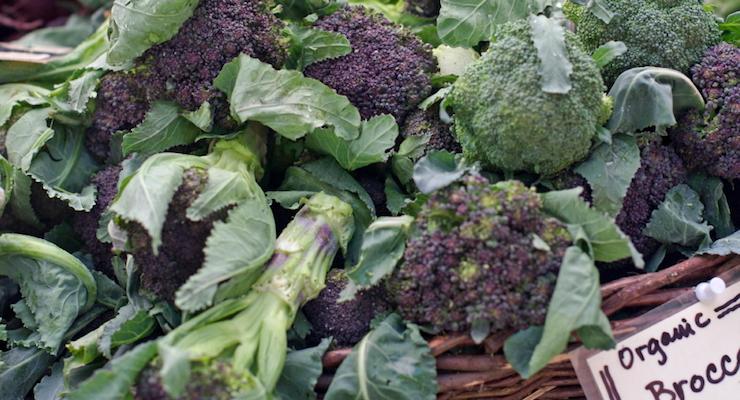 Want to Boost Your Immune System? Eat More Broccoli!!