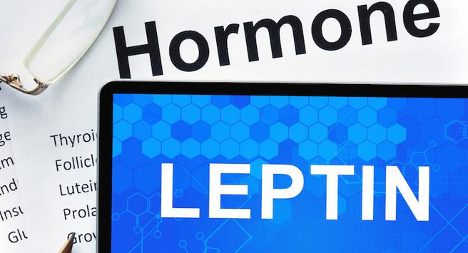 Struggling with Insulin Resistance? Leptin may be the answer…
