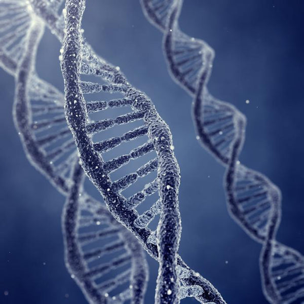 Are you looking after your DNA?