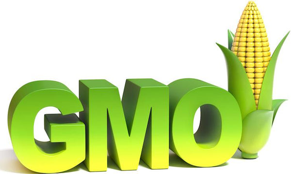 5 Reasons Why GMOs Are As Harmful to the Planet as they are to Your Health