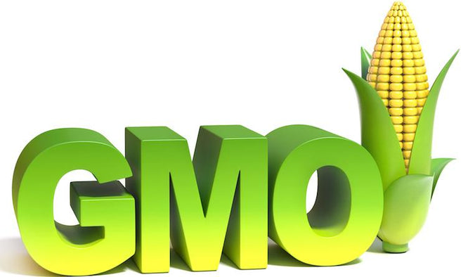 Yet Another Way GMO foods Attack Your Gut…And Your Children’s?!