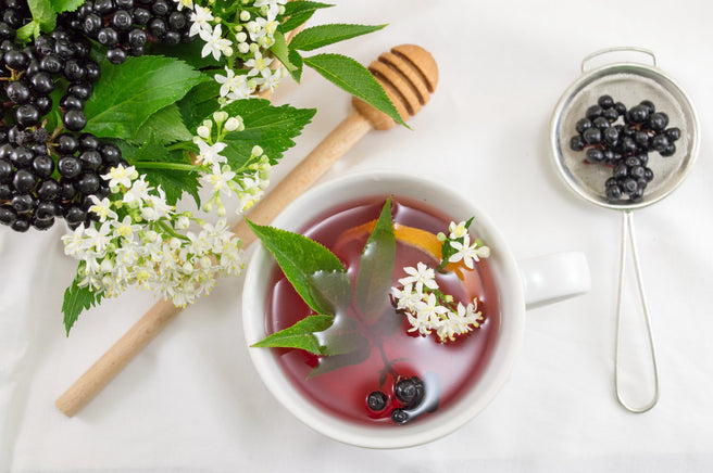 Winter Protection: Elderberry, your weapon against colds and flu