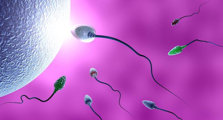 It Takes Two to Tango….  How male fertility can impact on fertility rates