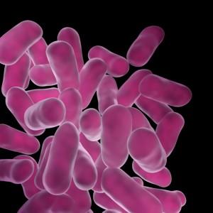 Why do you need probiotics?