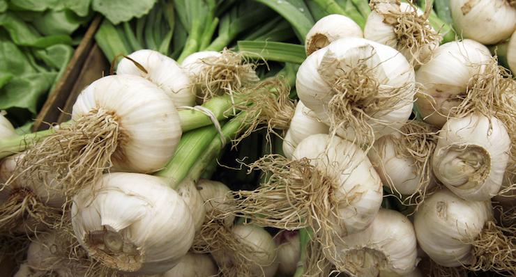 Garlic - the powerful ancient remedy for essential health today