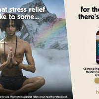 Supporting a healthy stress response