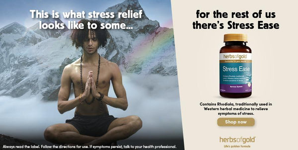 Supporting a healthy stress response