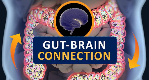 A healthy gut equals a healthy brain | Mr Vitamins