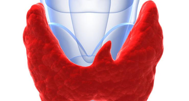 Kick-start your thyroid function naturally