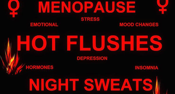 Menopause Madness: Hot Flushes and Hormonal Changes