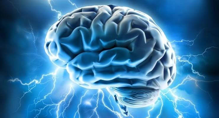 A key nutrient to protect your brain