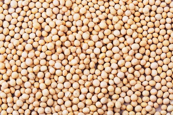 To Soy or Not to Soy…That is the Question